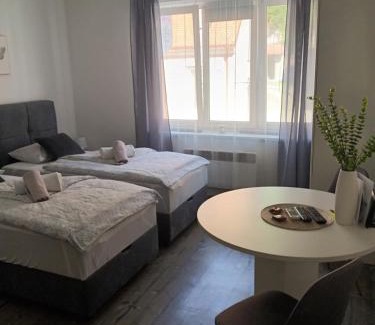 Pozega Apartment | Lu-Lu room