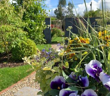 Killarney Bed & Breakfast | Luachra Lodge