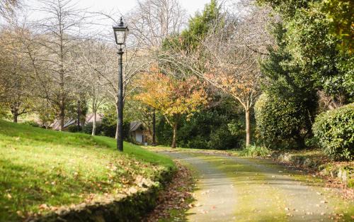 Shanklin House | Luccombe Chine House - Rare Find - Spectacular Secluded Coastal Manor, Breathtaking Ocean Views short drive to Shanklin or Ventnor Beach - near Shanklin Old Village