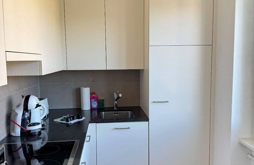 Lucerne Apartment | Lucern 2-BR Flat w Netflix Top location