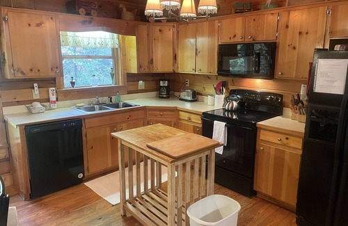 Blue Ridge Cabin | “Lucky Lake” secluded log cabin on a lake. Wood burning fireplace and hot tub!