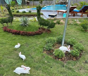 Phuoc Tan Hotel | Lucky Star Resort