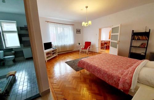 Sibiu Old Town Apartment | Luk Old Town Apartment
