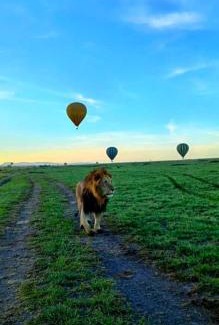 Maasai Mara House | Luluka Guest House