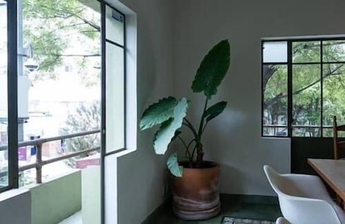 Colonia Roma Apartment | Luminous apartment designed by renowned architects