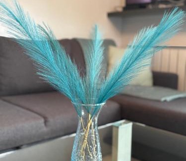 Zamardi Apartment | Luna Apartman
