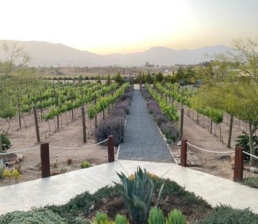 Valle de Guadalupe House | Luna Del Valle