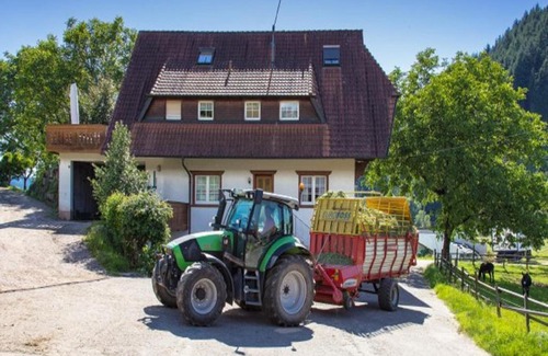 Oberharmersbach Apartment | Lunzenhof