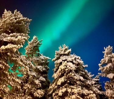 Lampivaara Ski Chalet | Luosto Villa by Lapland Villas, near Lake Aarnilampi Beach, Sauna, WiFi, Great Private Villa for Families & Outdoor Lovers