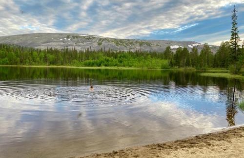 Lampivaara Ski Chalet | Luosto Villa by Lapland Villas, near Lake Aarnilampi Beach, Sauna, WiFi, Great Private Villa for Families & Outdoor Lovers