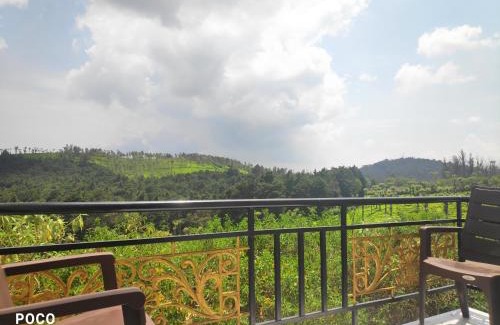Fern Hill House | Lush Green View Cottage Tea Garden View
