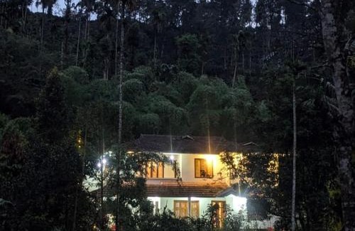 Sulthan Bathery Villa | Lush Lagoon Homestay