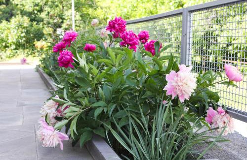 Yeghegnadzor Bed & Breakfast | Lusya B&B