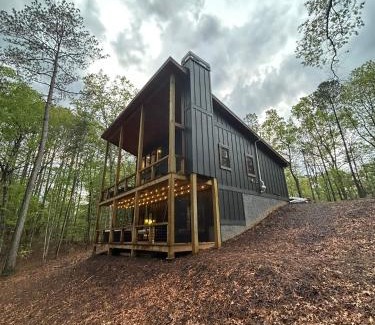 Mineral Bluff House | Lux Blue Ridge Cabin, Hot tub, Swing, PingPong!