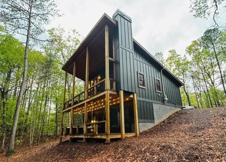 Mineral Bluff House | Lux Blue Ridge Cabin, Hot tub, Swing, PingPong!