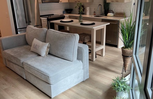 Buzzard Point Apartment | LUX, Cozy Chic apartment. Audi Field, Navy Yard, Wharf. Perfect!