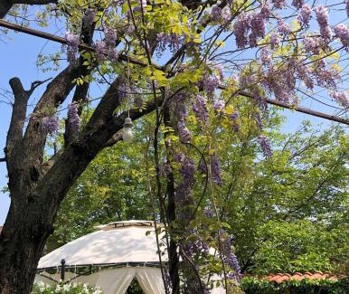 Kumanovo Apartment | Lux Garden Home D