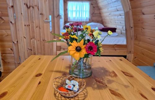 Aagtekerke Ski Chalet | Luxe Houten Pod 3 Aagtekerke Dichtbij Zee en Natuur