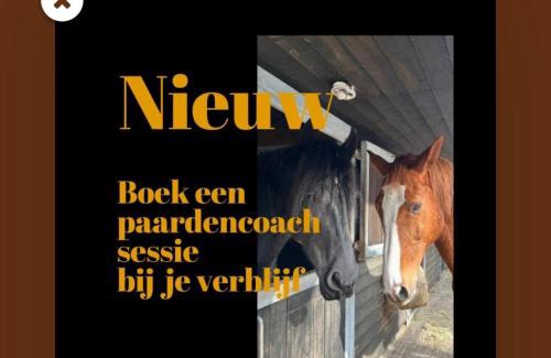 Echten Cabin | Luxe Natuurhuisje met jacuzzi en haard in Drenthe, ECHTEN