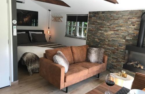 Echten Cabin | Luxe Natuurhuisje met jacuzzi en haard in Drenthe, ECHTEN
