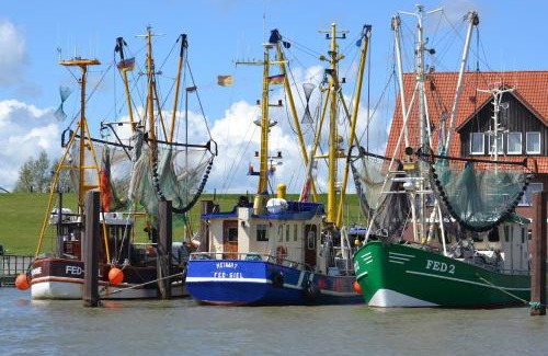 Fedderwardersiel House | Luxeriöses Ferienhaus direkt an der Nordsee