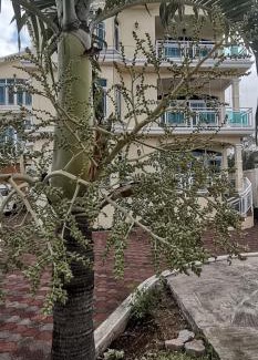 Mare La Chaux Bed & Breakfast | Luxor Residence Guesthouse