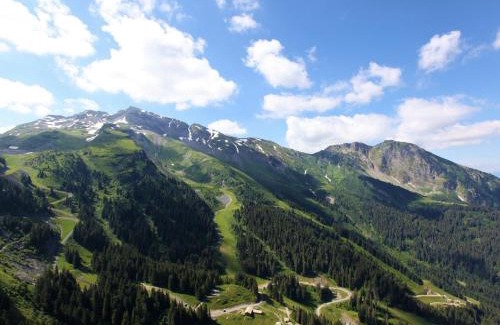 Avoriaz Apartment | Luxueux appartement 5 pièces pour 10 pers. avec piscine et vue panoramique - FR-1-314-113