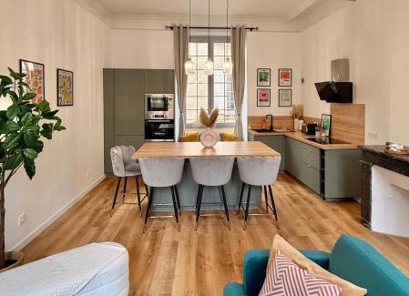 Castres Apartment | Luxueux appartement cosy, hypercentre Castres