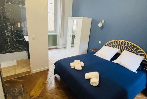 Castres Apartment | Luxueux appartement cosy, hypercentre Castres