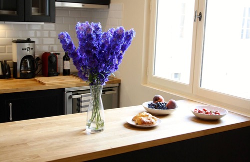 6th Arrondissement Apartment | Luxurious Apartment in the heart of Saint Germain des Prés, Center of Paris