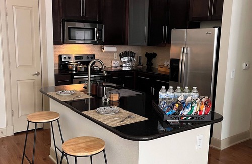 Astrodome Apartment | Luxurious Retro Getaway 10 Minute drive to NRG Stadium