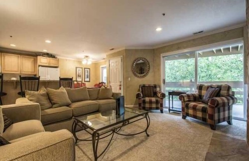 North Park City Condo | Luxurious & Spacious 2BR/2BA Condo