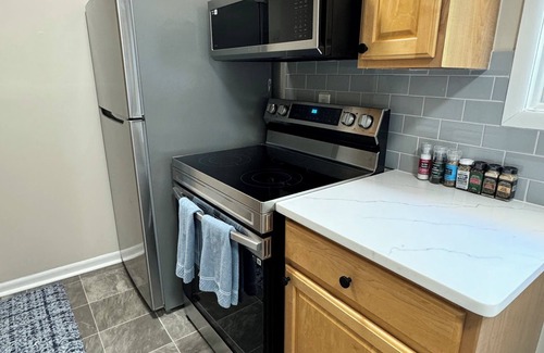 Royal Oak Condo | Luxurious Upper 2 BR Flat near Downtown Royal Oak!