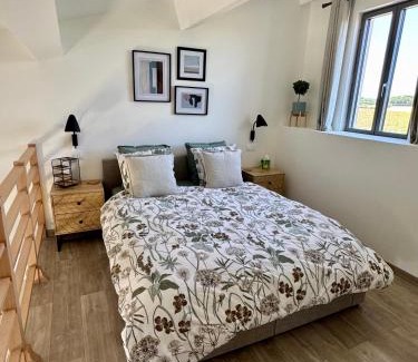 Saint-Savinien House | Luxury 1 bed house with shared pool