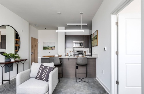Museum District Apartment | Luxury 1 Bedroom Unit In Scotts Addition