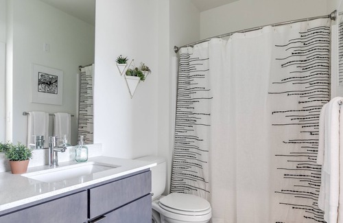 Museum District Apartment | Luxury 1 Bedroom Unit In Scotts Addition