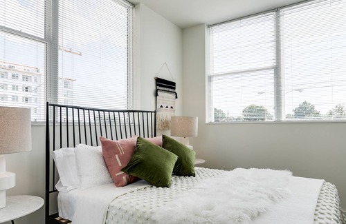 Museum District Apartment | Luxury 1 Bedroom Unit In Scotts Addition