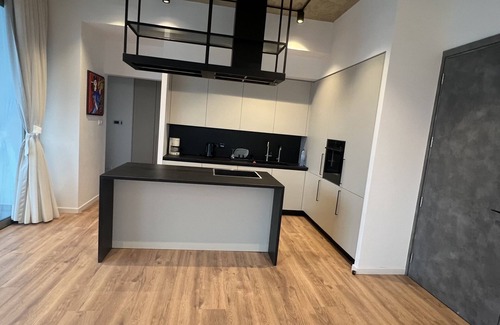 Dasoupolis Apartment | Luxury 2 bedroom penthouse near the city center! Pet-friendly!