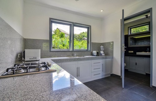 Temukus Villa | Luxury 2 Bedroom Villa near Lovina, Bali