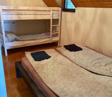 Csatarka Villa | Luxury 3 BR Vila in a forest 10min drive from city center