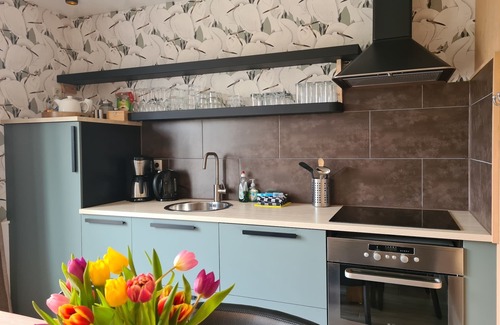 Oudeslius Apartment | Luxury 8 pers. apartment with Finnish sauna dog friendly