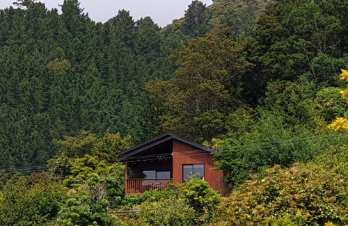 Picton Cottage | Luxury Accommodation in Nature! Pet-Friendly