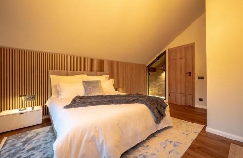 Rasnov Ski Chalet | Luxury Aframe