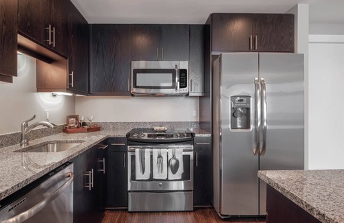 Reston Apartment | Luxury Apartment in heart of Reston 1 bedroom