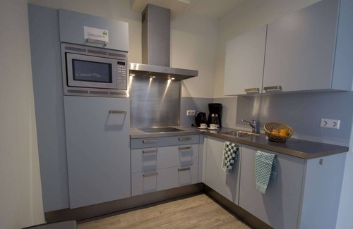 Midsland Apartment | Luxury apartment with sauna near beach