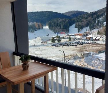 Bjelasnica Apartment | Luxury Apartment Zimska idila