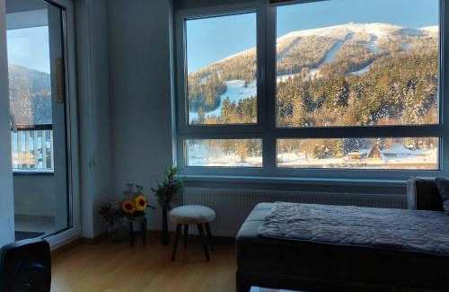 Bjelasnica Apartment | Luxury Apartment Zimska idila