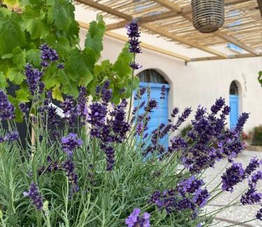Montescudo-Monte Colombo Villa | Luxury authentic private villa with private swimming pool