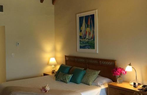 Red Hook Villa | Luxury Beachfront Duplex Villa on Sapphire Beach V