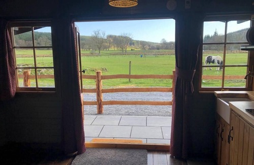 Galloway Forest Park Cabin | Luxury Cabin in the Magical Galloway Forest Park